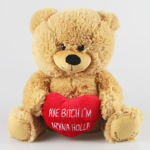 Aye Bitch I'm Tryna Holla Bear
